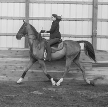 Horseback riding lessons at Trinity Farm in Clayton, IN
