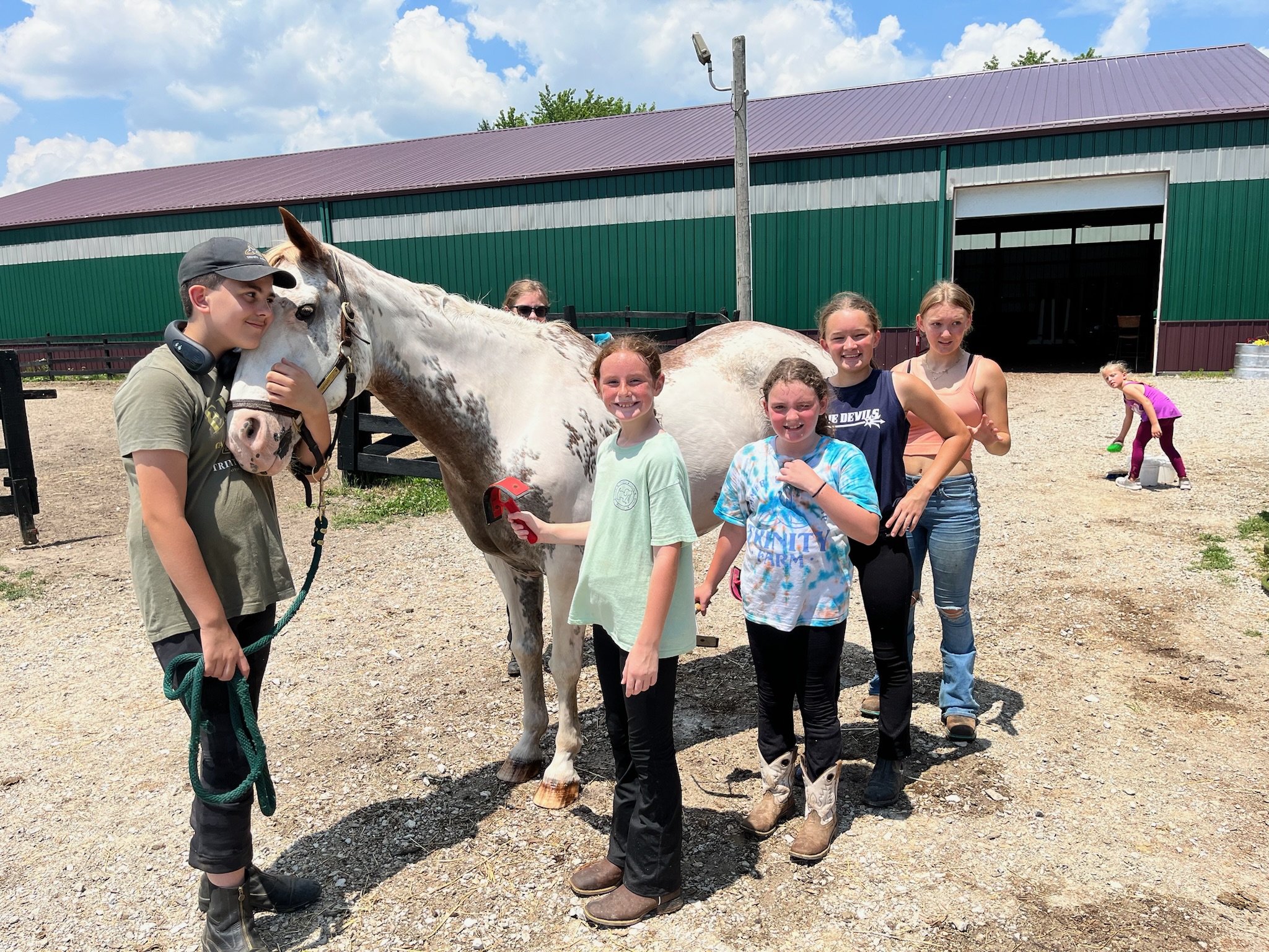Riding camps at Trinity Farm, American Saddlebred training operation and lesson program in Clayton, IN