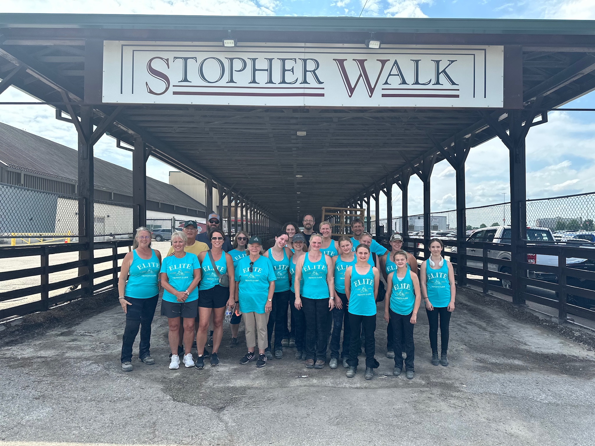 Riding camps at Trinity Farm, American Saddlebred training operation and lesson program in Clayton, IN