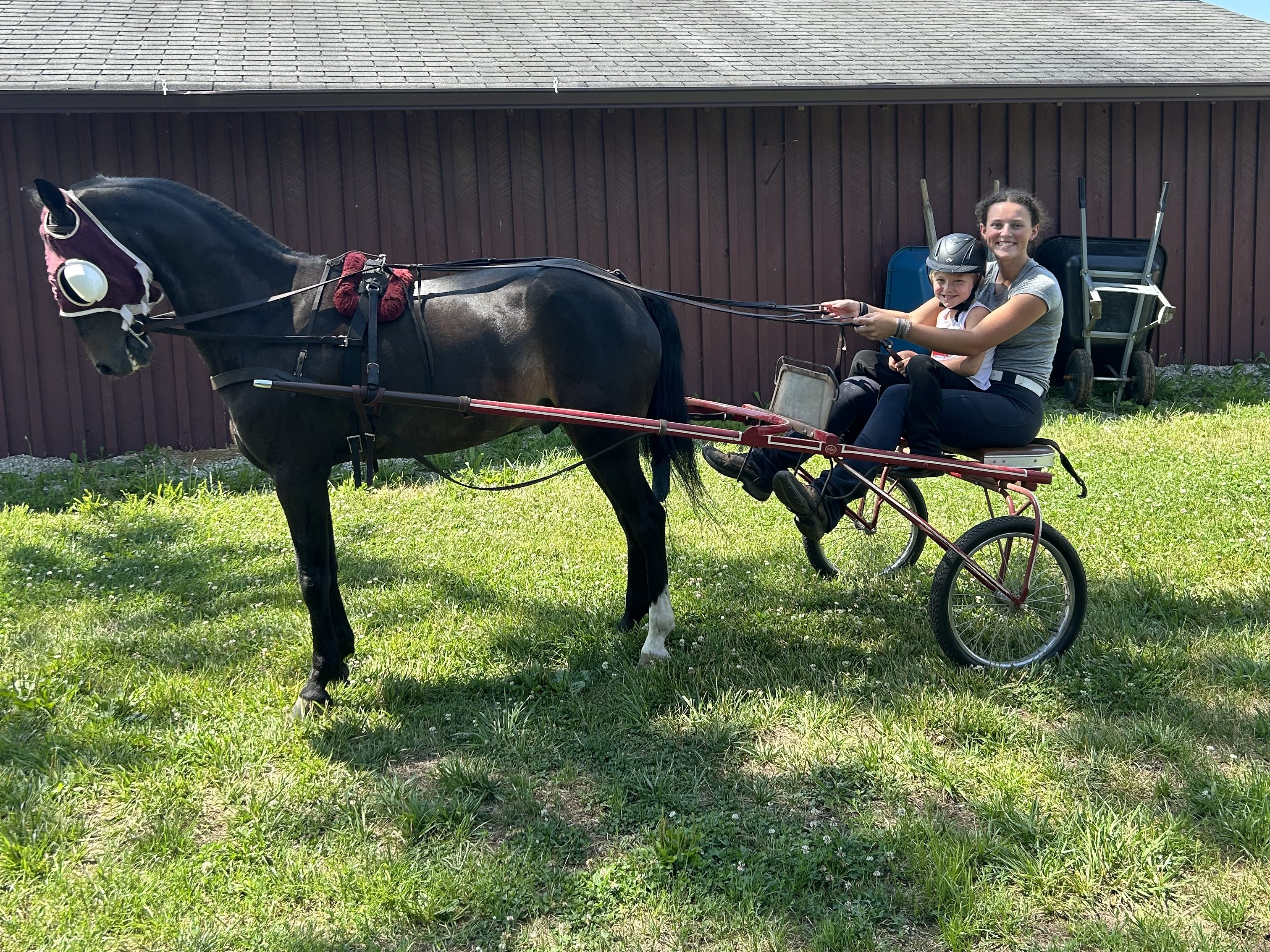 Horseback riding lessons at Trinity Farm in Clayton, IN
