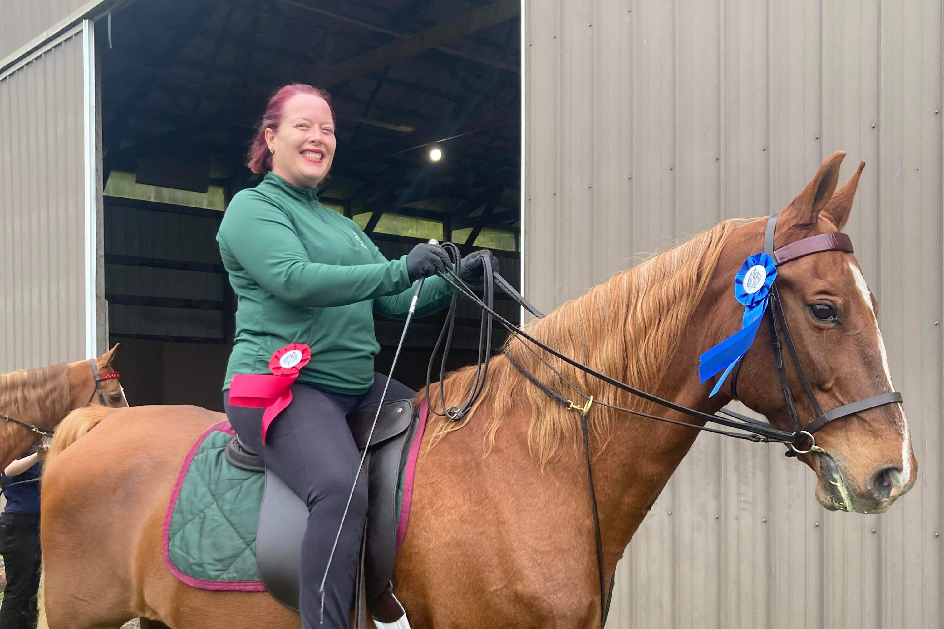 American Saddlebred Show Horse from Trinity Farm in Clayton, IN.